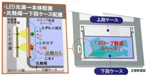 構造図01