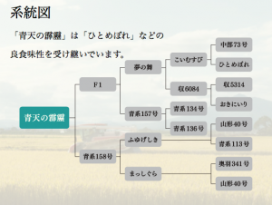 スクリーンショット 2015-10-13 8.08.49